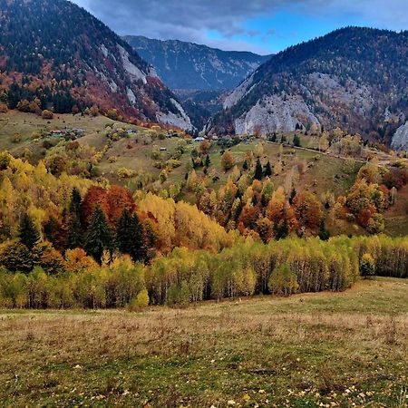 Măgura Mosorel المظهر الخارجي الصورة