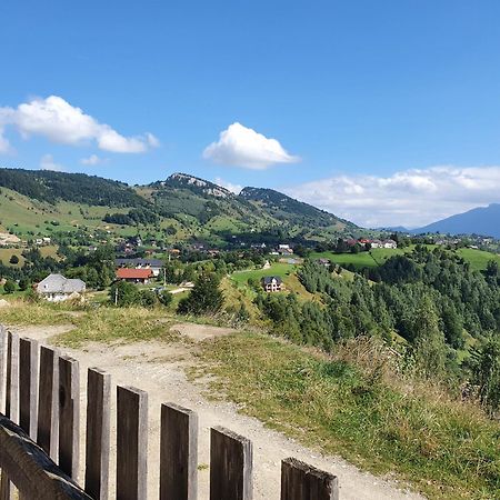 Măgura Mosorel المظهر الخارجي الصورة