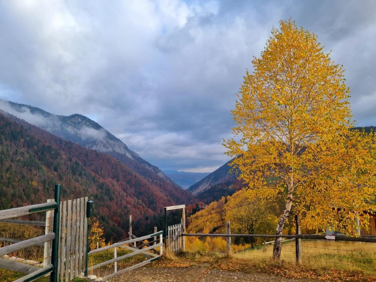 Măgura Mosorel المظهر الخارجي الصورة