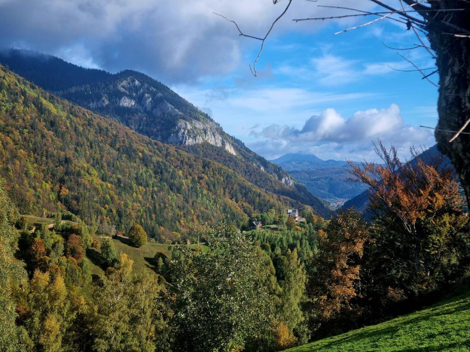Măgura Mosorel المظهر الخارجي الصورة