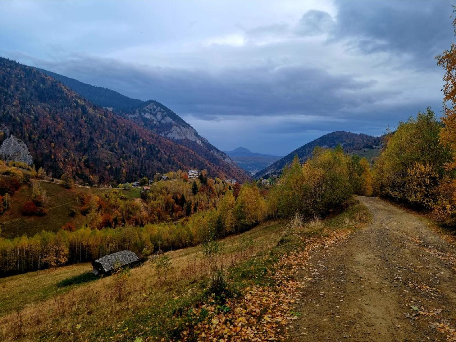 Măgura Mosorel المظهر الخارجي الصورة