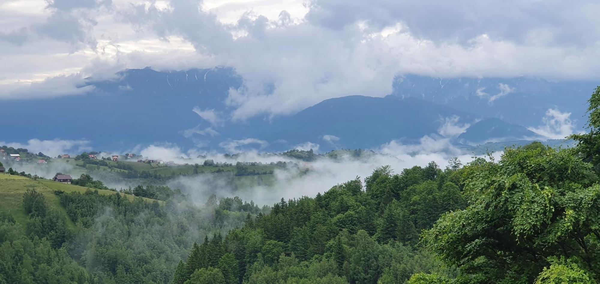 Măgura Mosorel المظهر الخارجي الصورة